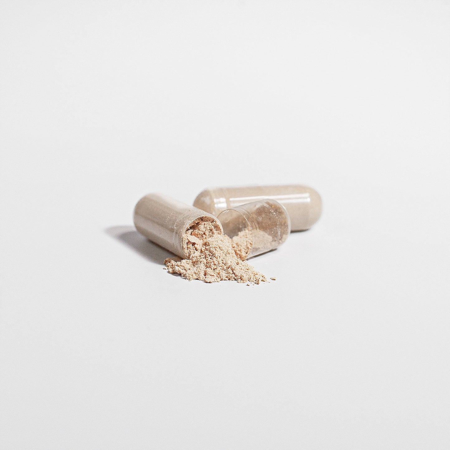 Neuro Lion Real Mushroom